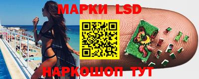 шишки Бийск
