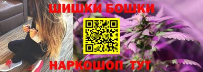 шишки Бийск