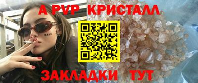 шишки Бийск
