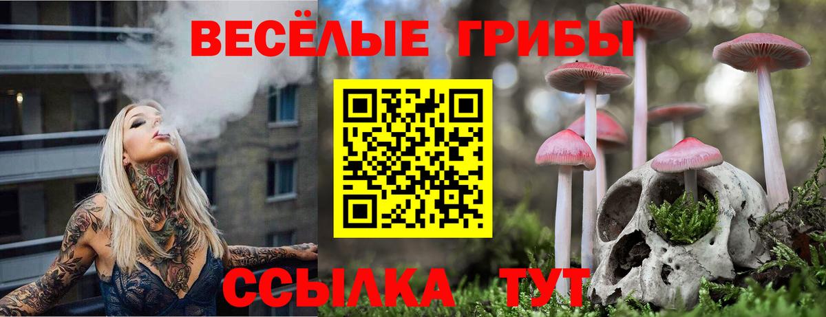 Псилоцибиновые грибы мухоморы  Вход с VPN  что такое наркотик  Десногорск 
